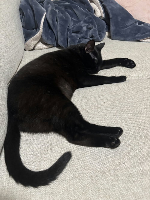 Princess Sabrina photo 4