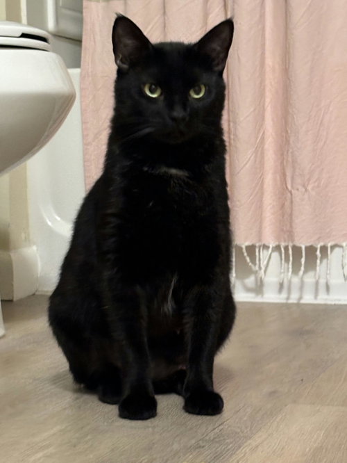 Princess Sabrina photo 5