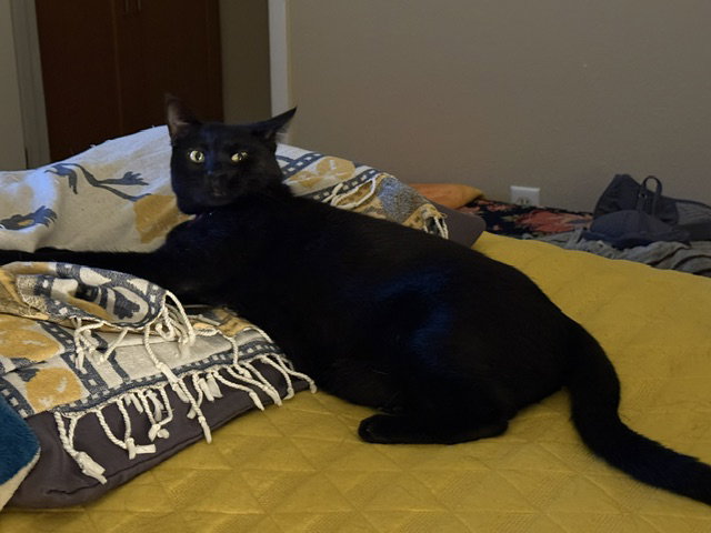 Princess Sabrina, photo 11