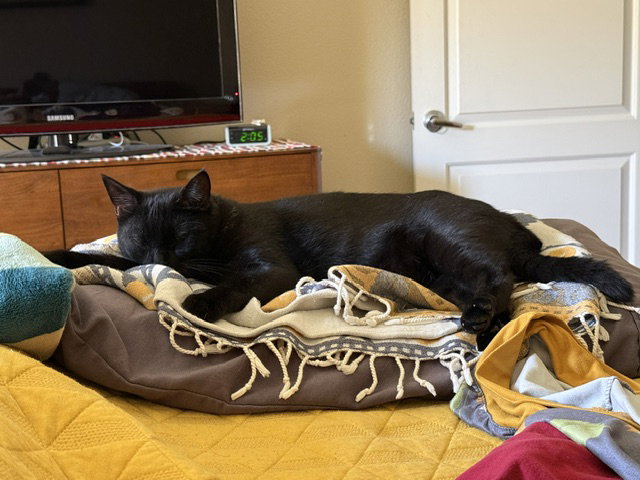 Princess Sabrina, photo 12