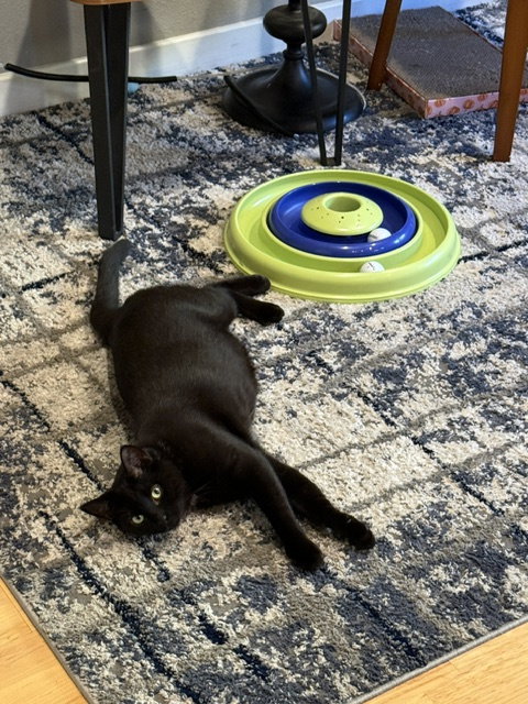 Princess Sabrina, photo 2