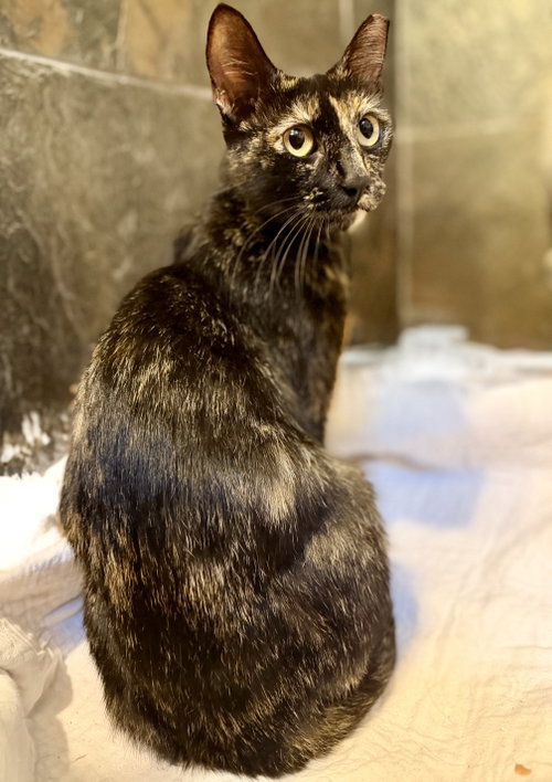 Photo 2 of Roxette