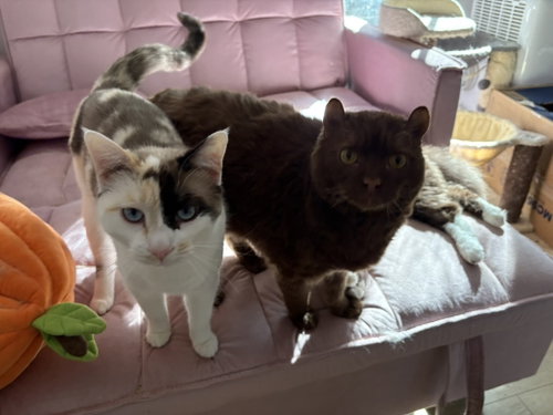 Bear &  Jeff photo 2