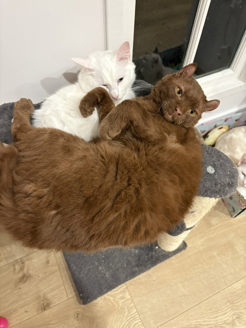 Bear &  Jeff photo 3