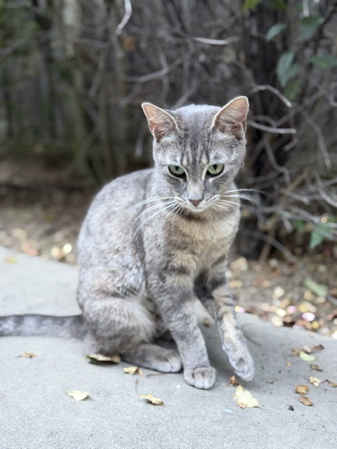 Mama photo 3