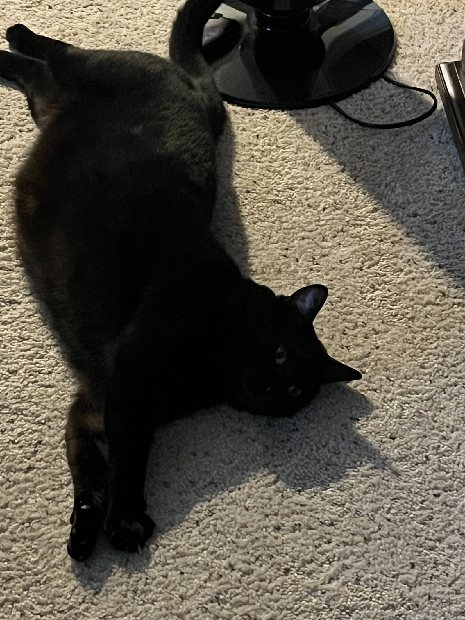 Smoov (Courtesy Post), photo 7