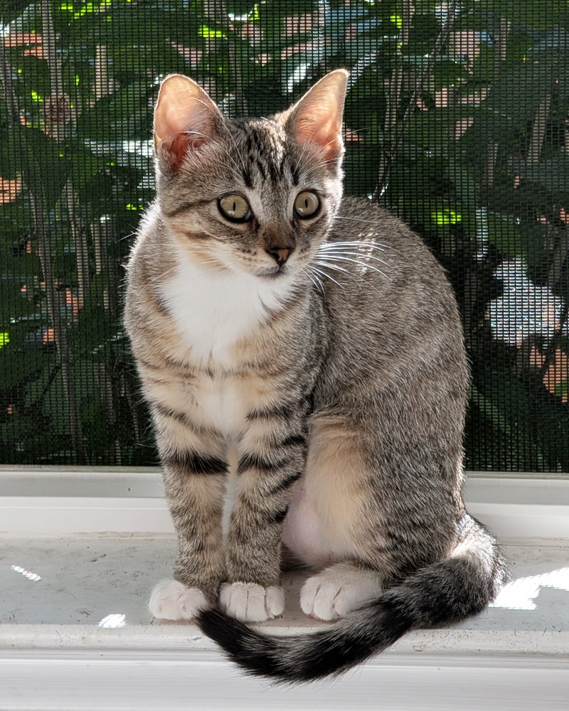 Daisy Skye, photo 7