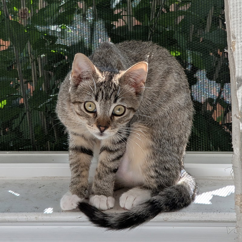 Daisy Skye, photo 8