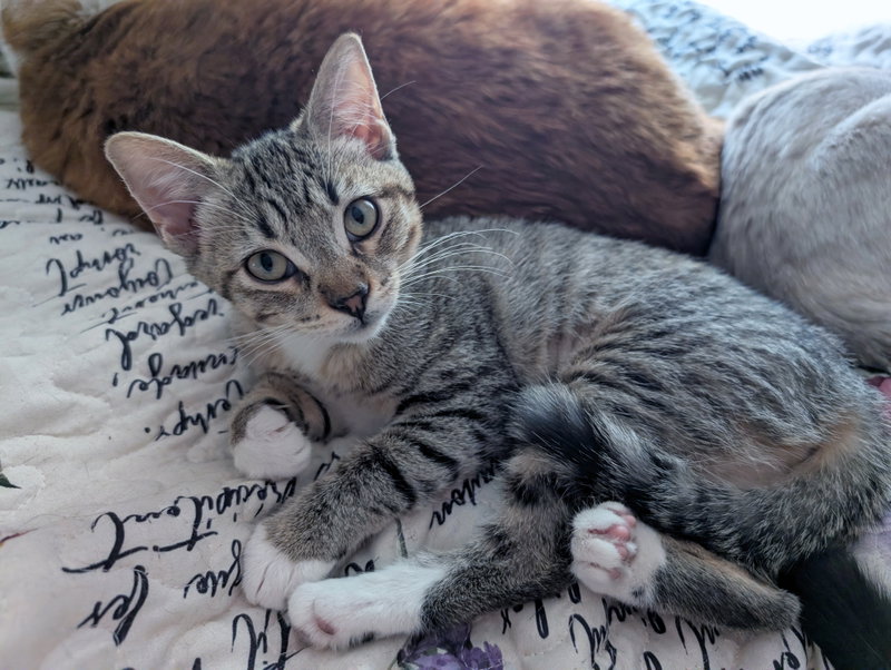 Daisy Skye, photo 9