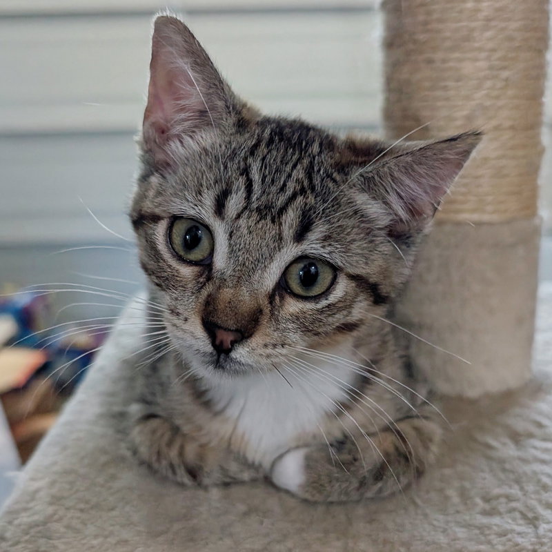 Daisy Skye, photo 10