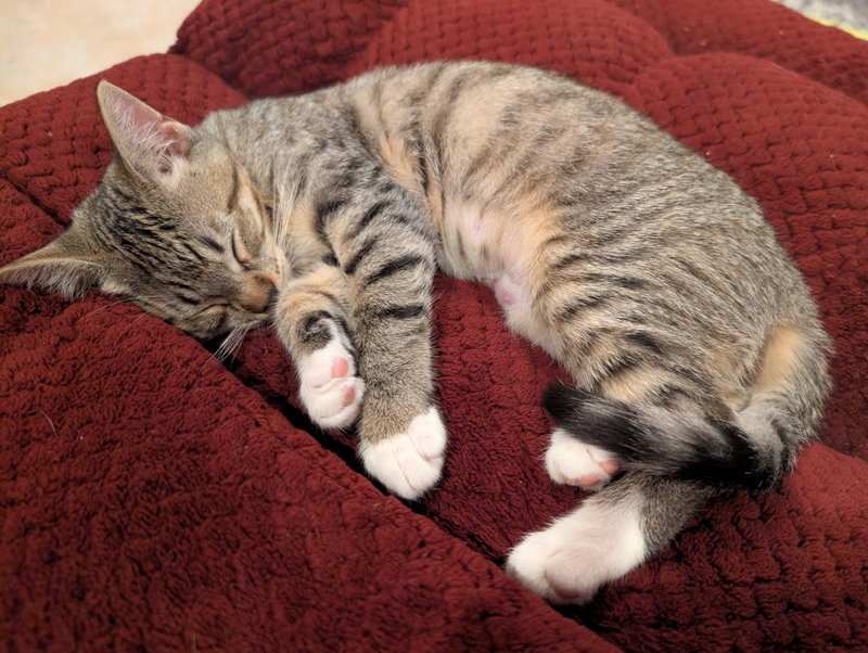 Daisy Skye, photo 5