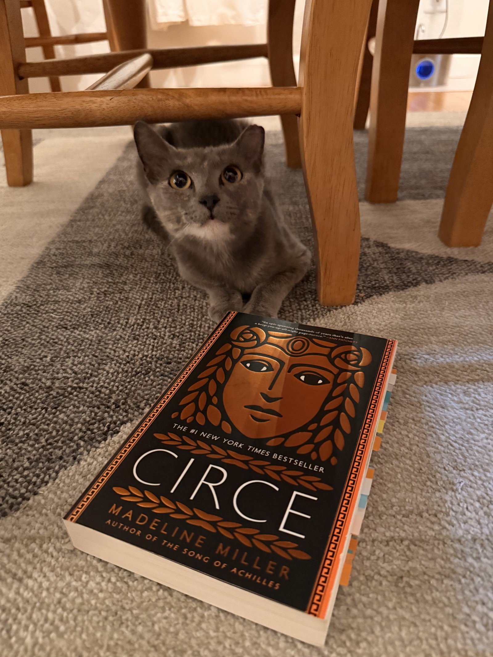 Circe, photo 6