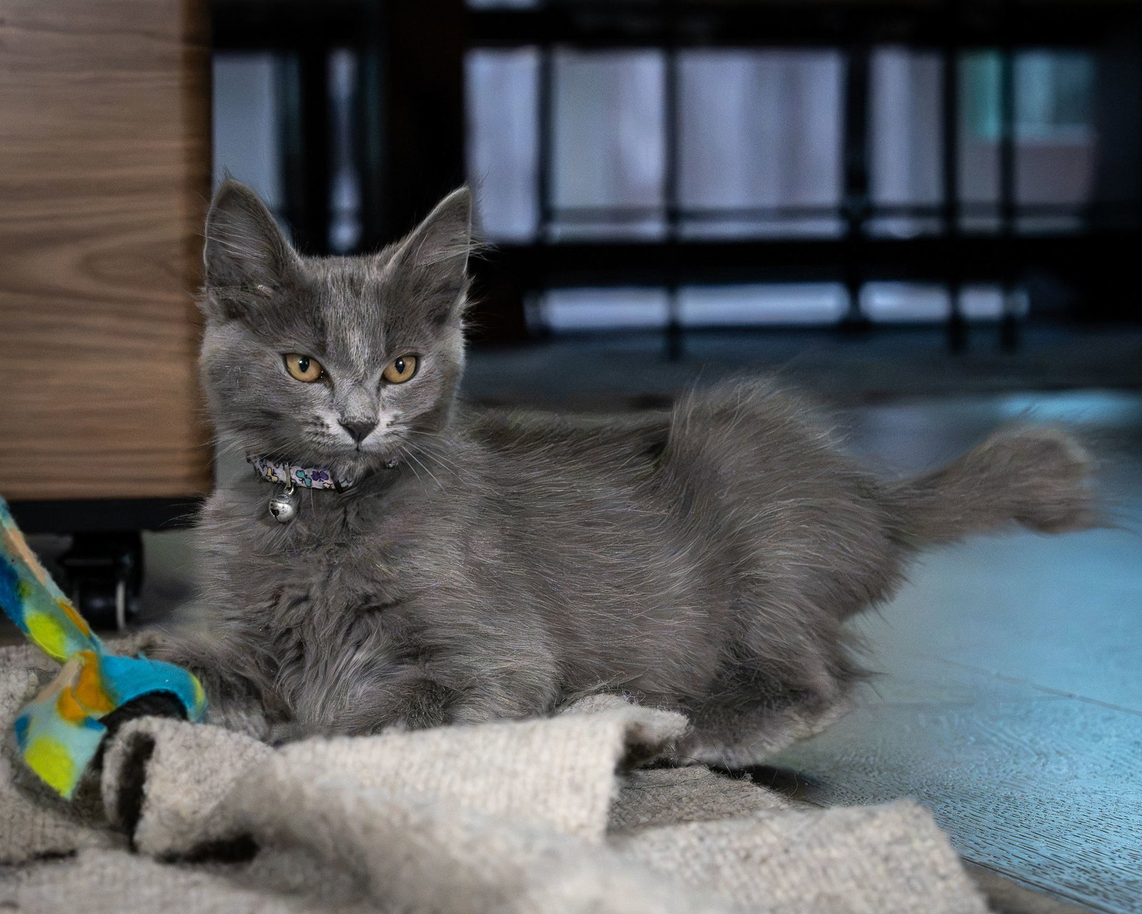 Steelix bonded w/Uxie, photo 5
