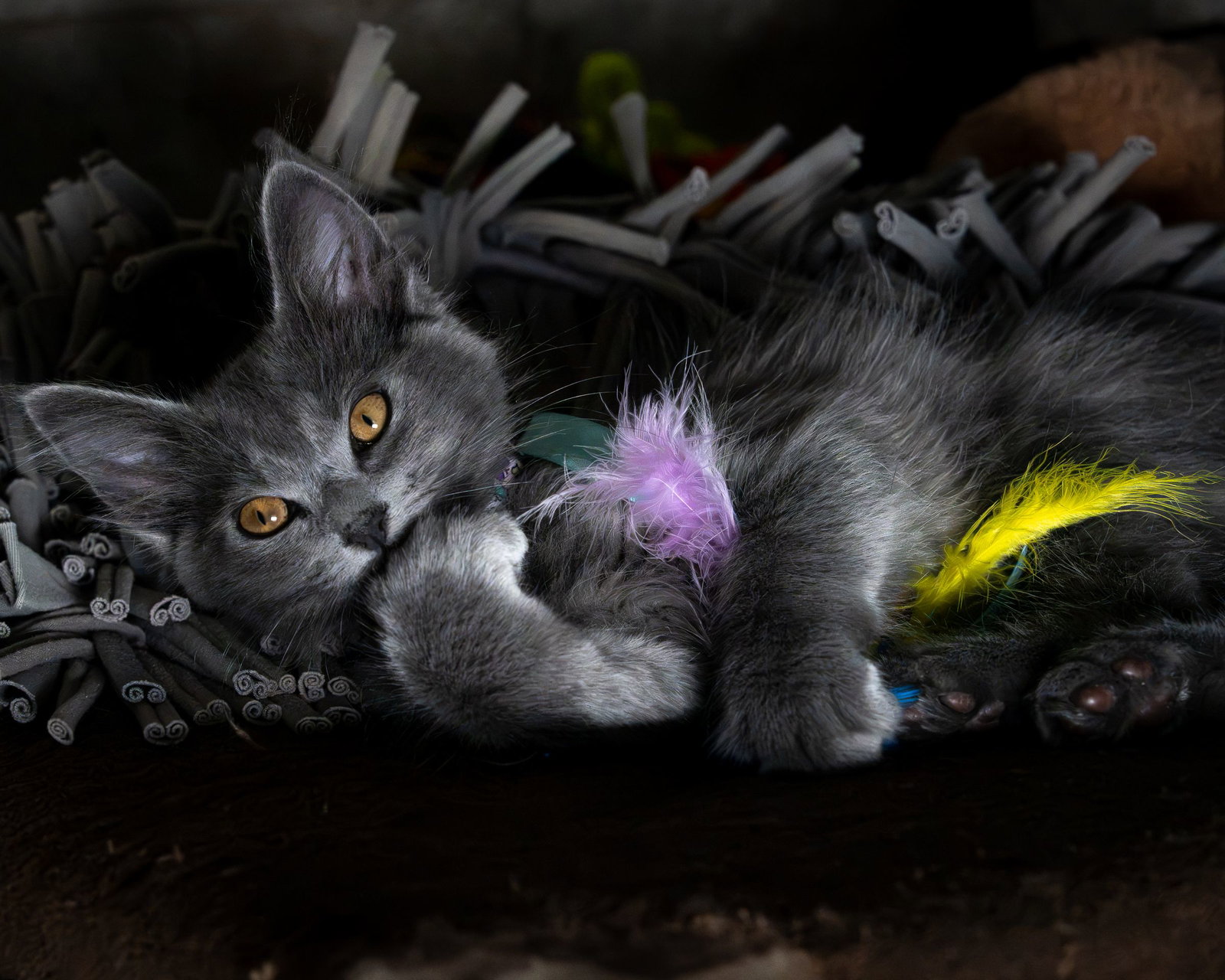 Steelix bonded w/Uxie, photo 6