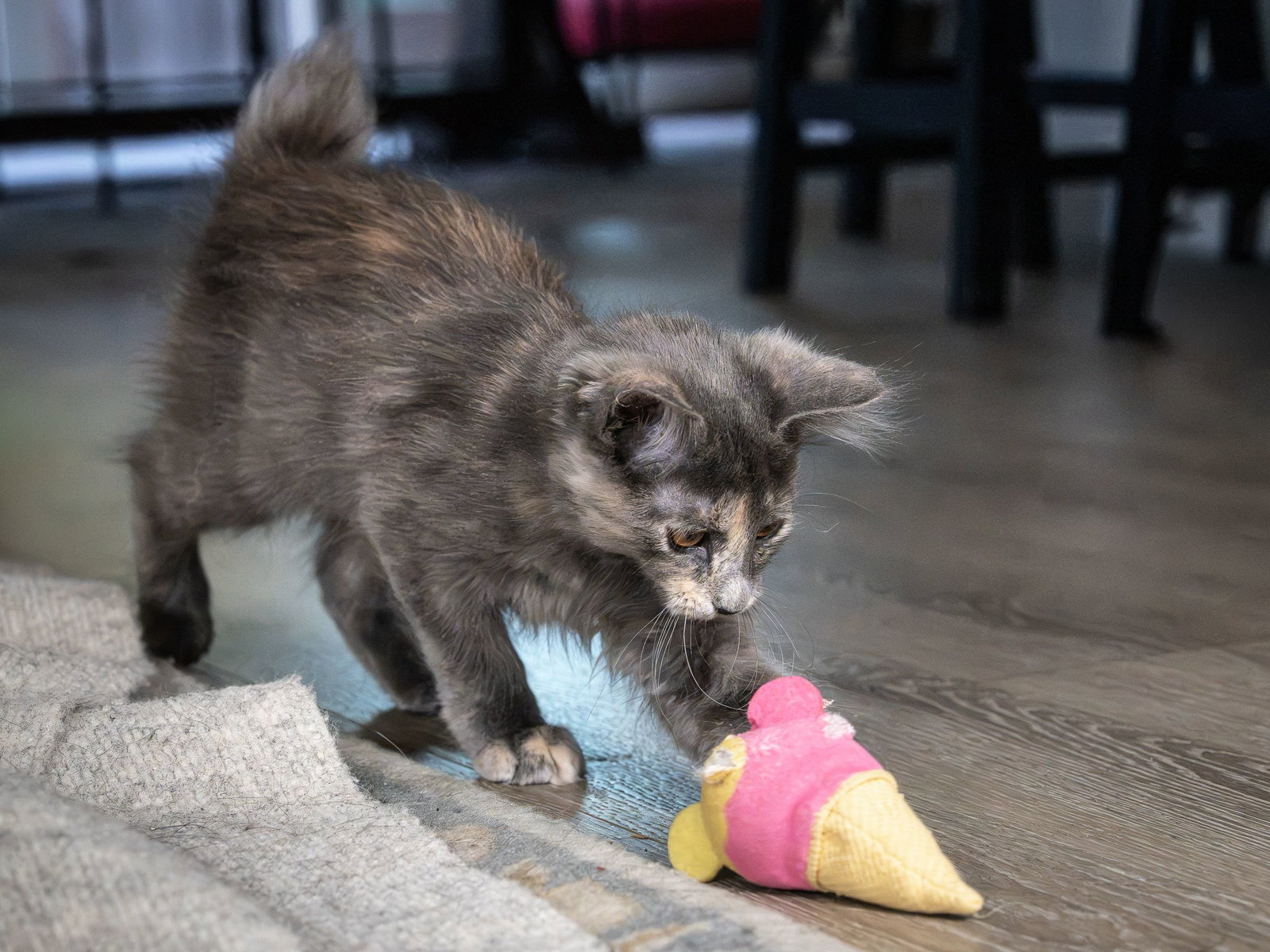 Uxie bonded w/ Steelix, photo 4
