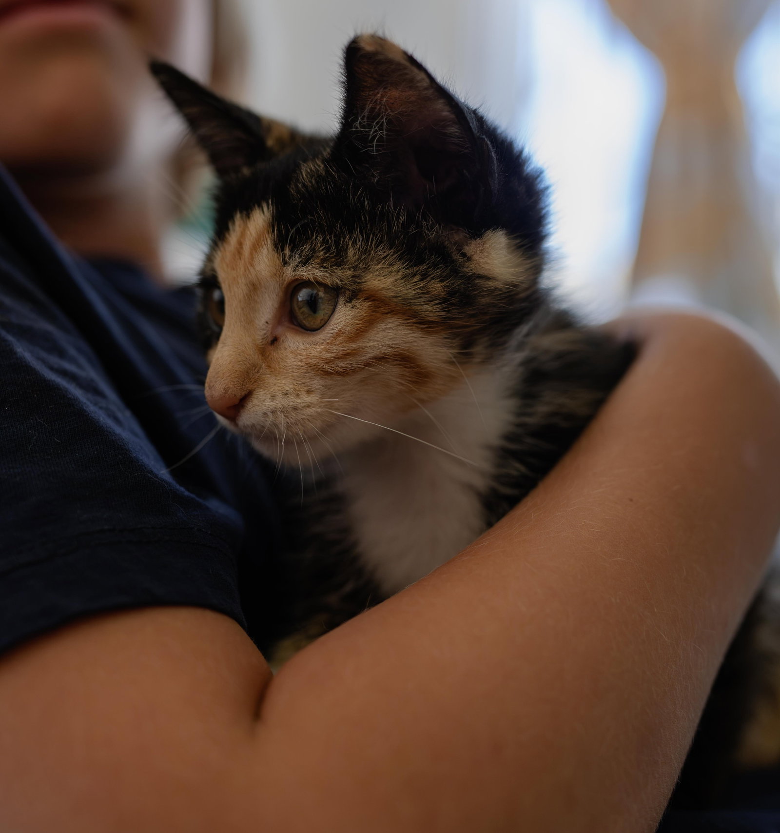 Smarty (bonded w/ Fiasco), photo 2