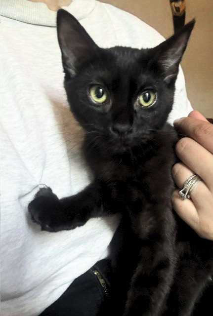 Nalia Jupiter (bonded w/ Chandler Moon)