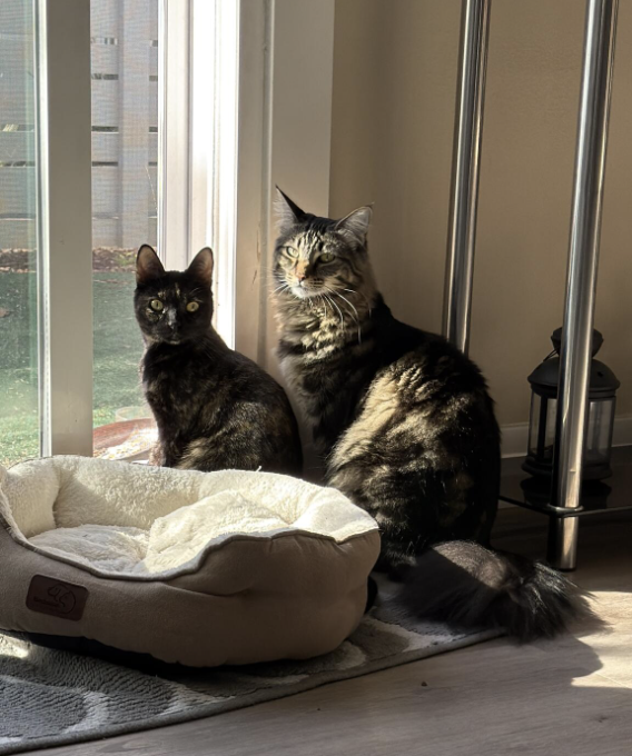 Spooky & Spider (Courtesy Post), photo 2