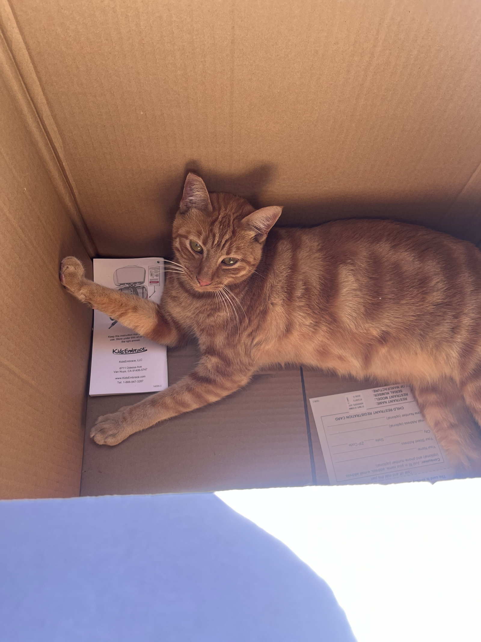 Pumpkin & Cheesy (Courtesy Post), photo 5