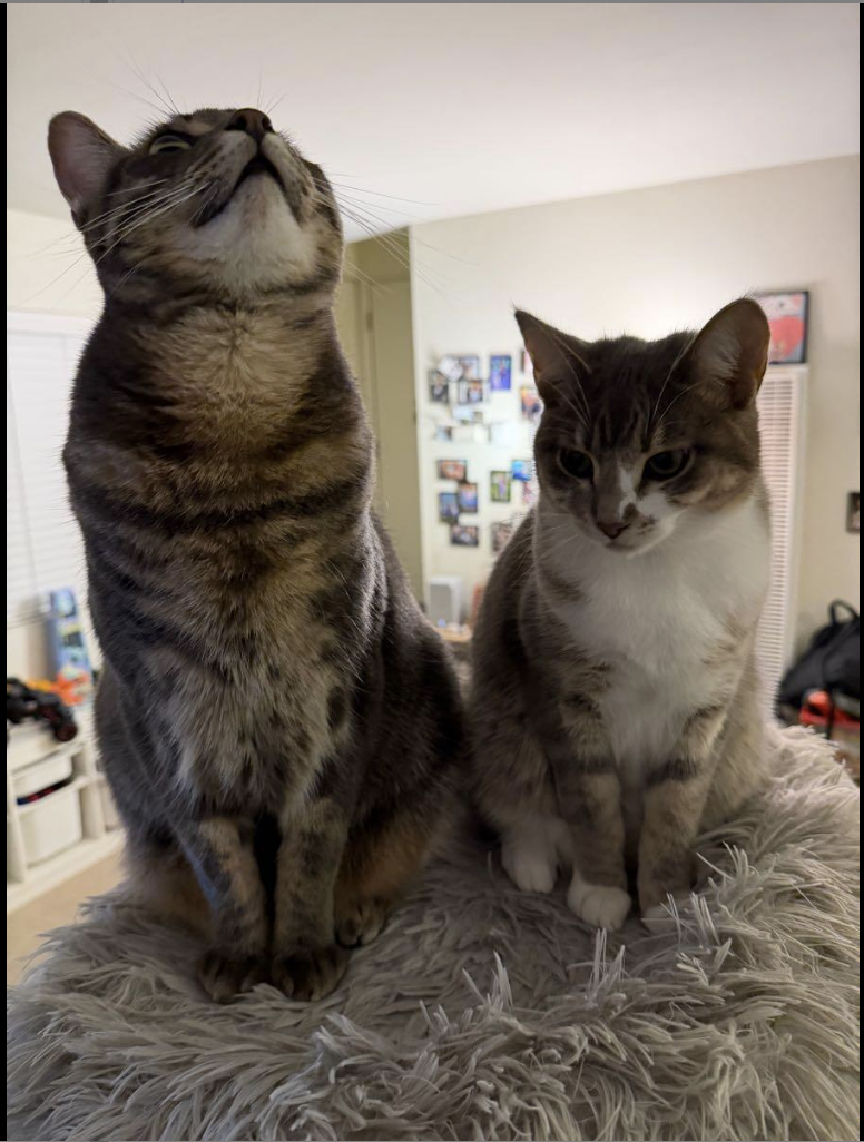 Mia and Leo (Courtesy Post), photo 2