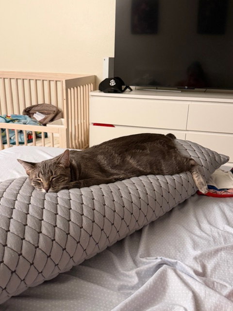 Mia and Leo (Courtesy Post), photo 6