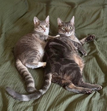 Mia and Leo (Courtesy Post)