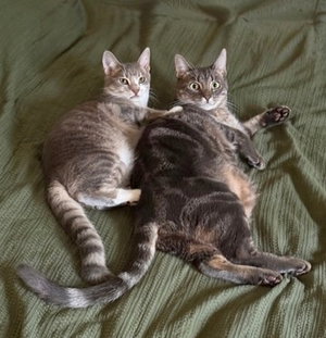 Mia and Leo, photo 2