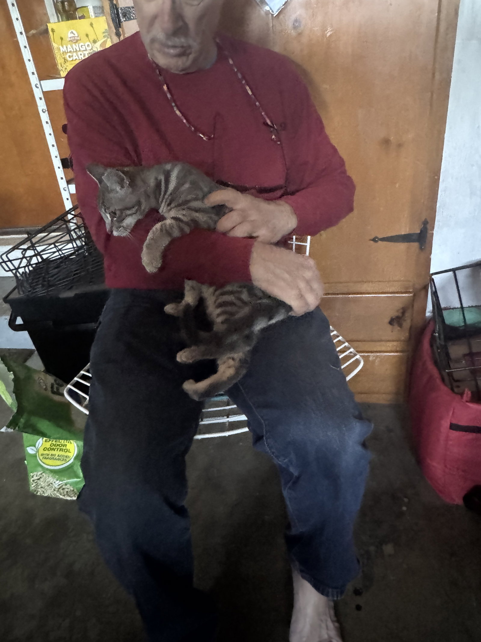Athos (Courtesy Post), photo 3