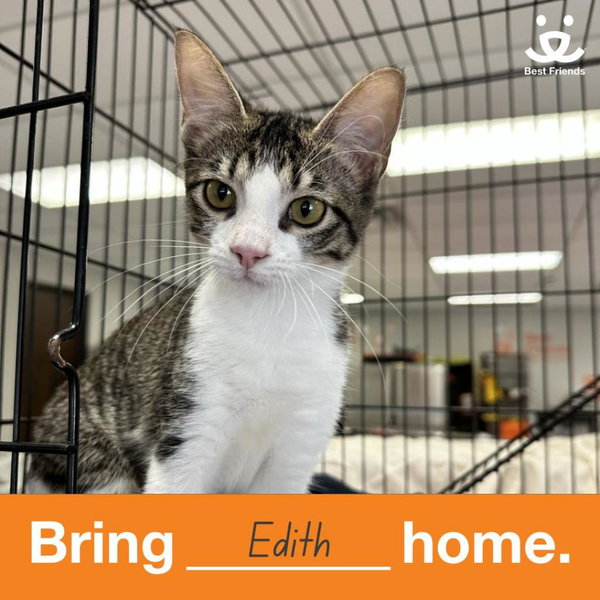 Edith