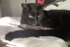 KIPPER (COURTESY POST) - Photo 2