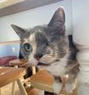 CALI 2 (COURTESY POST) - Photo 2
