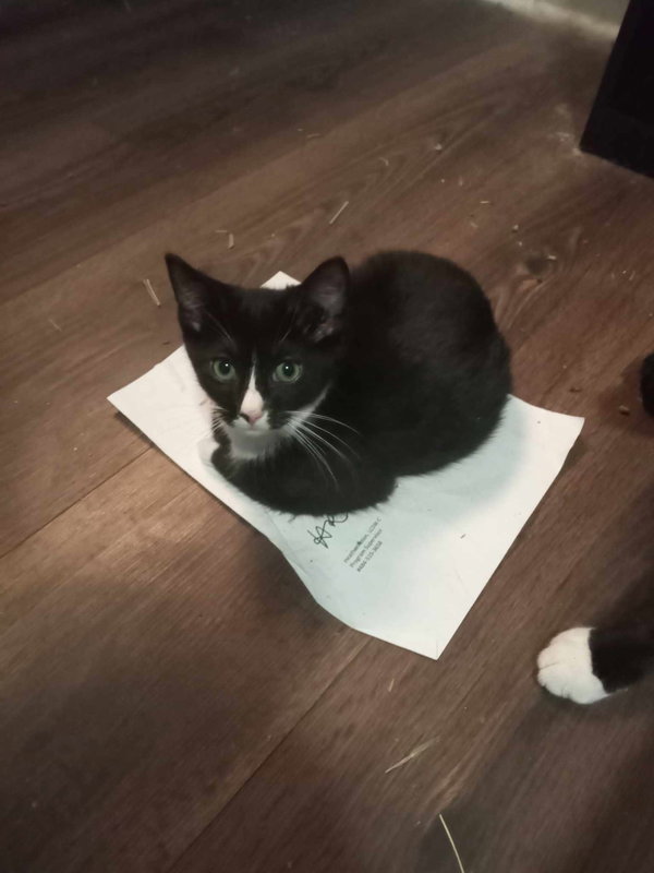 BABY (COURTESY POST)