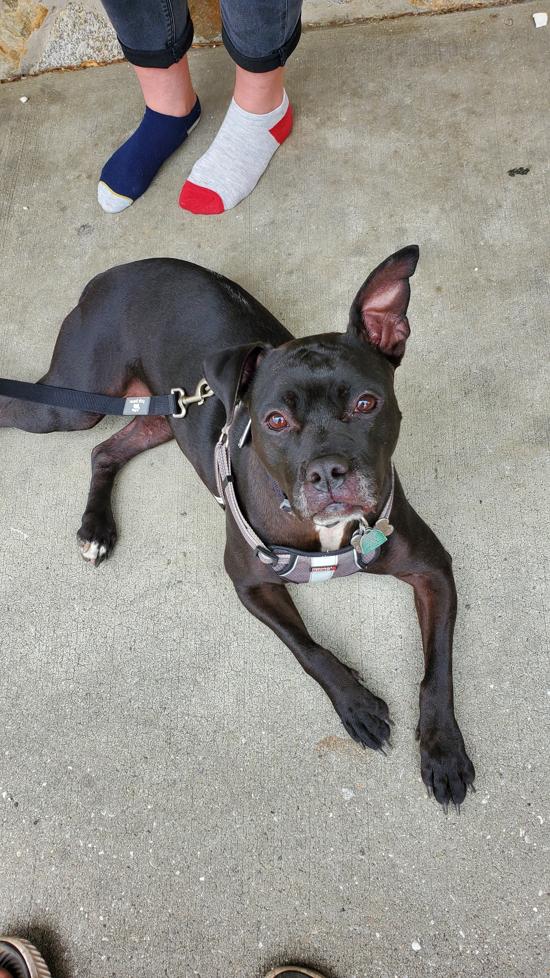 Ellie Courtesy Post