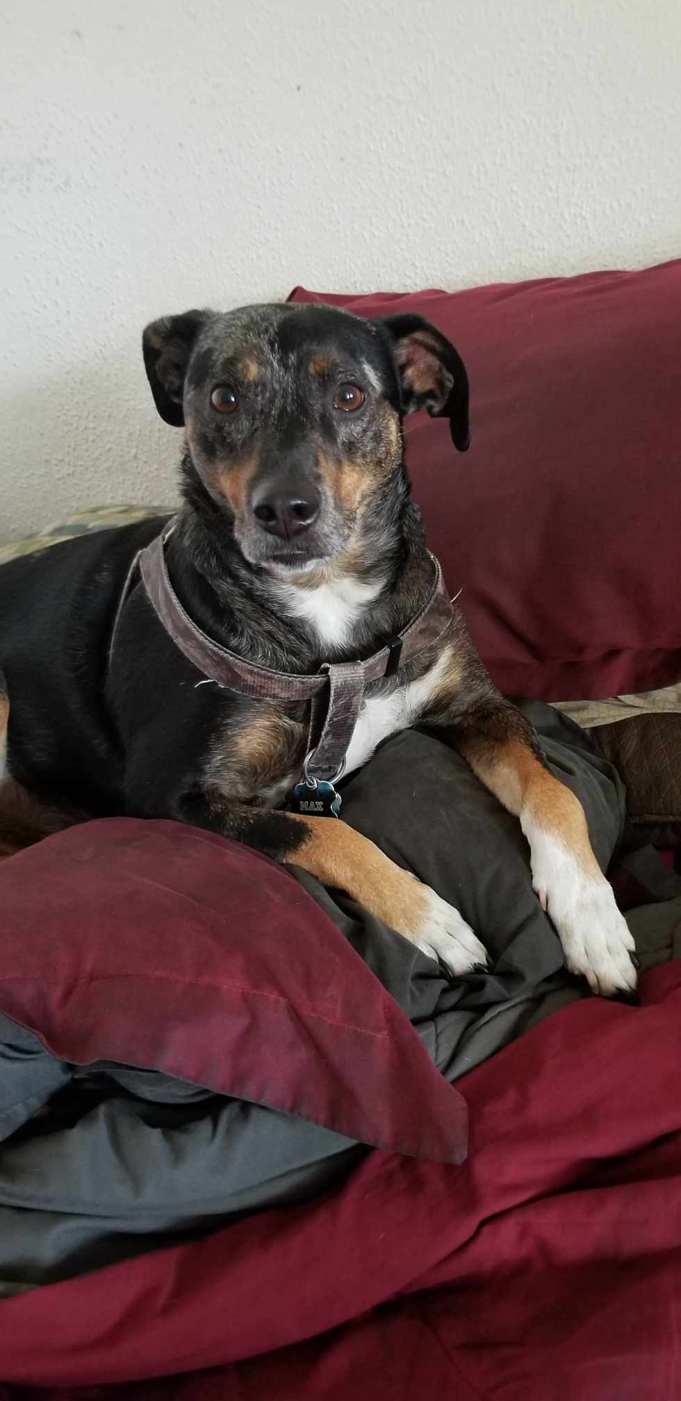 Max Courtesy Post