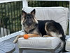 ARTEMIS (COURTESY POST) - Photo 2