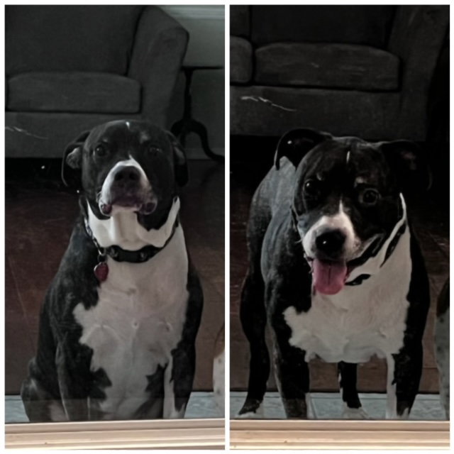JAGER (COURTESY POST)