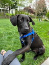 SPARKY (COURTESY POST) - Photo 2