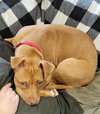 CHETTI (COURTESY POST) - Photo 2