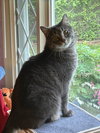 YAZ (BONDED w/BRADY) (COURTESY POST) - Photo 2