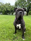 ANGEL (COURTESY POST) - Photo 2