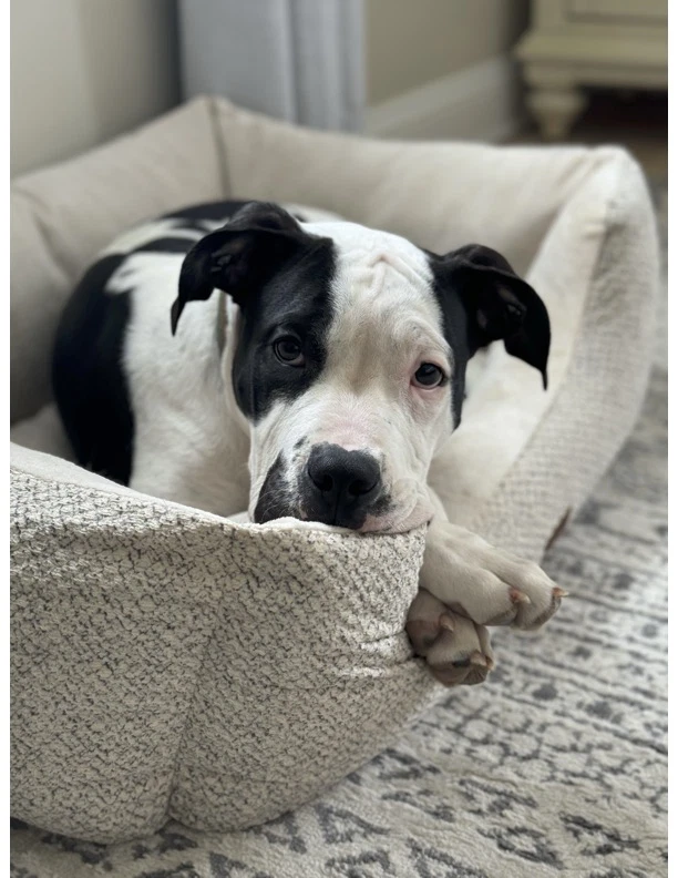 Nash Courtesy Post