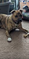 OAKLEY (COURTESY POST) - Photo 2