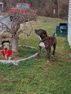 KASH (COURTESY POST) - Photo 2