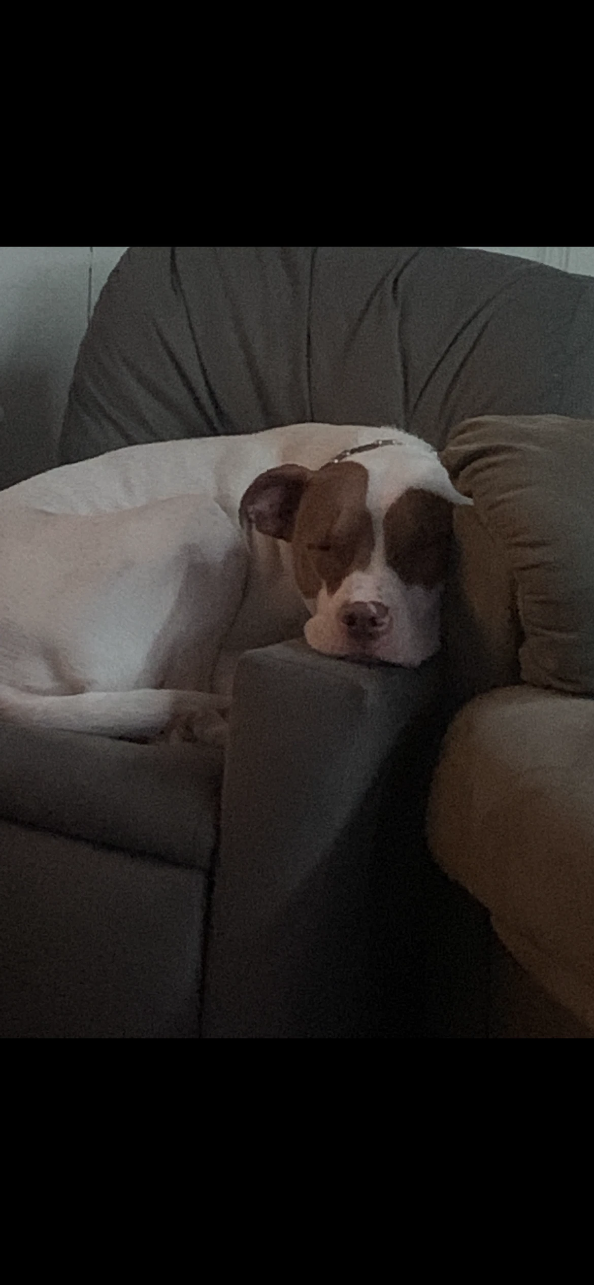 Jax Courtesy Post