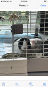 GUS and FRANK (COURTESY POST) - Photo 2