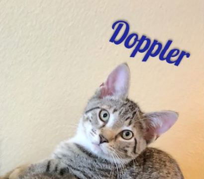 Doppler Radar