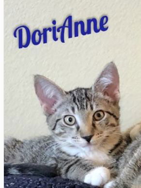 Dori Anne