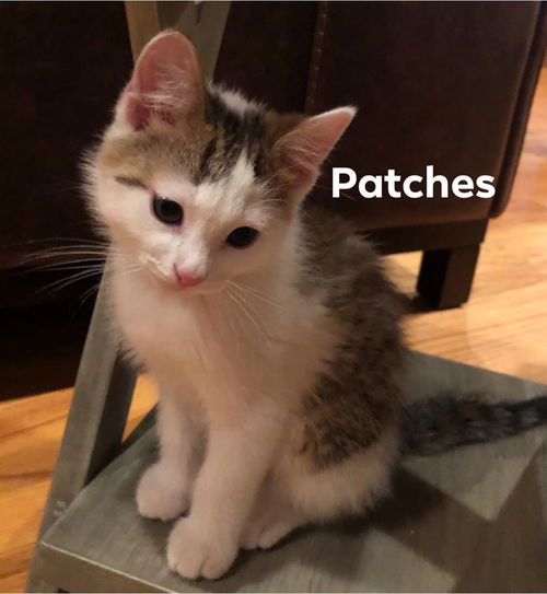 Patches