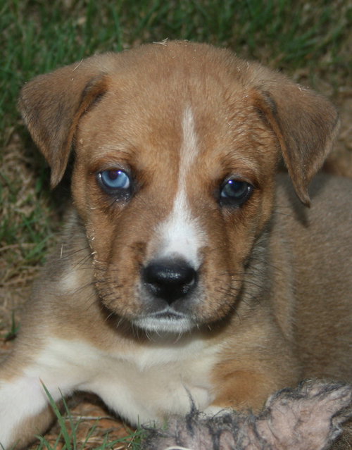 Jude