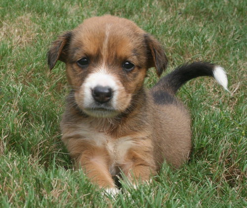 Matilda
